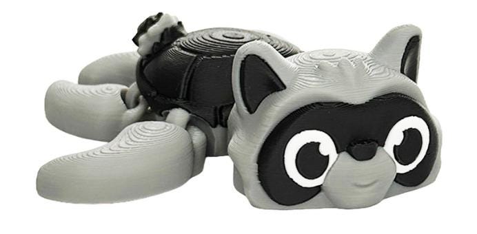 Articulated Raccoon Turtle