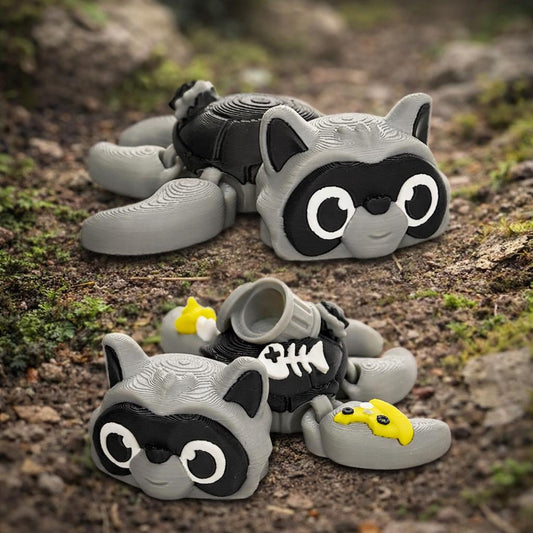 Articulated Raccoon Turtle